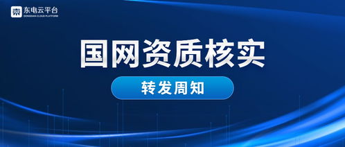 國網(wǎng)資質(zhì)核實 關(guān)于2019年財務信息審核的通知